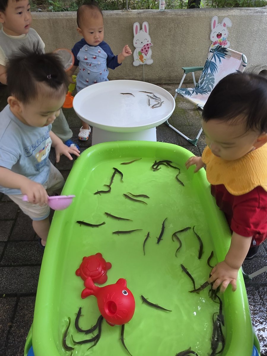 물이 담긴 대야 속 미꾸라지를 아이들이 둘러서서 바라보는 모습