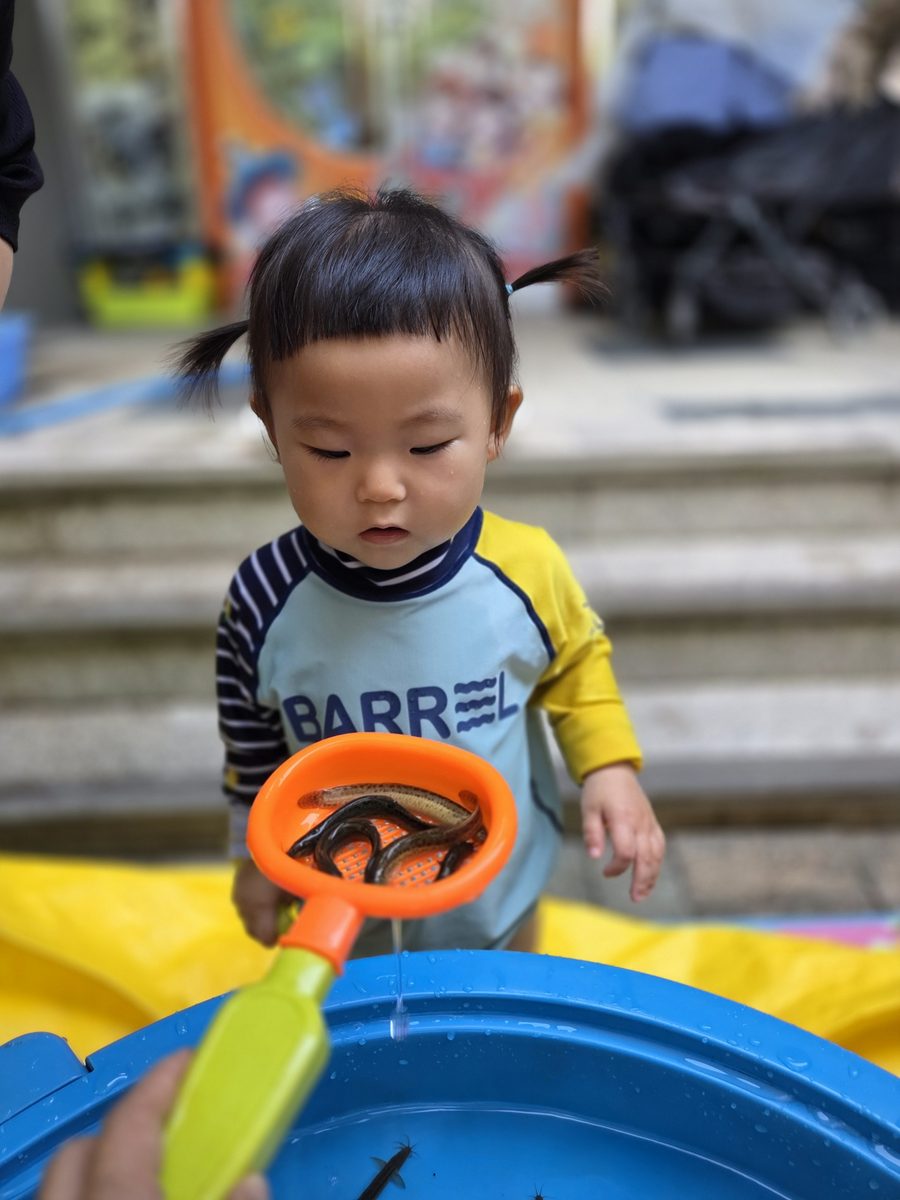 뜰채에 담긴 미꾸라지를 가까이에서 관찰하는 1세반 아이