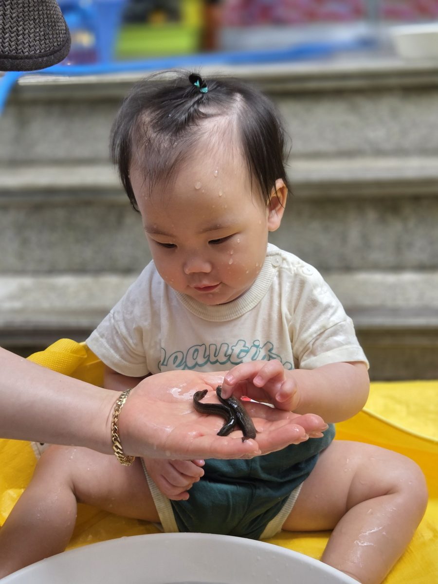 손바닥 위에 올린 미꾸라지를 조심스럽게 만져보는 아이